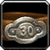 Level 30