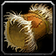 Arena Bracers